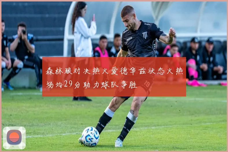 森林狼对决热火爱德华兹状态火热场均29分助力球队争胜