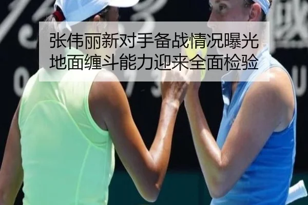 张伟丽新对手备战情况曝光 地面缠斗能力迎来全面检验 - 678app
